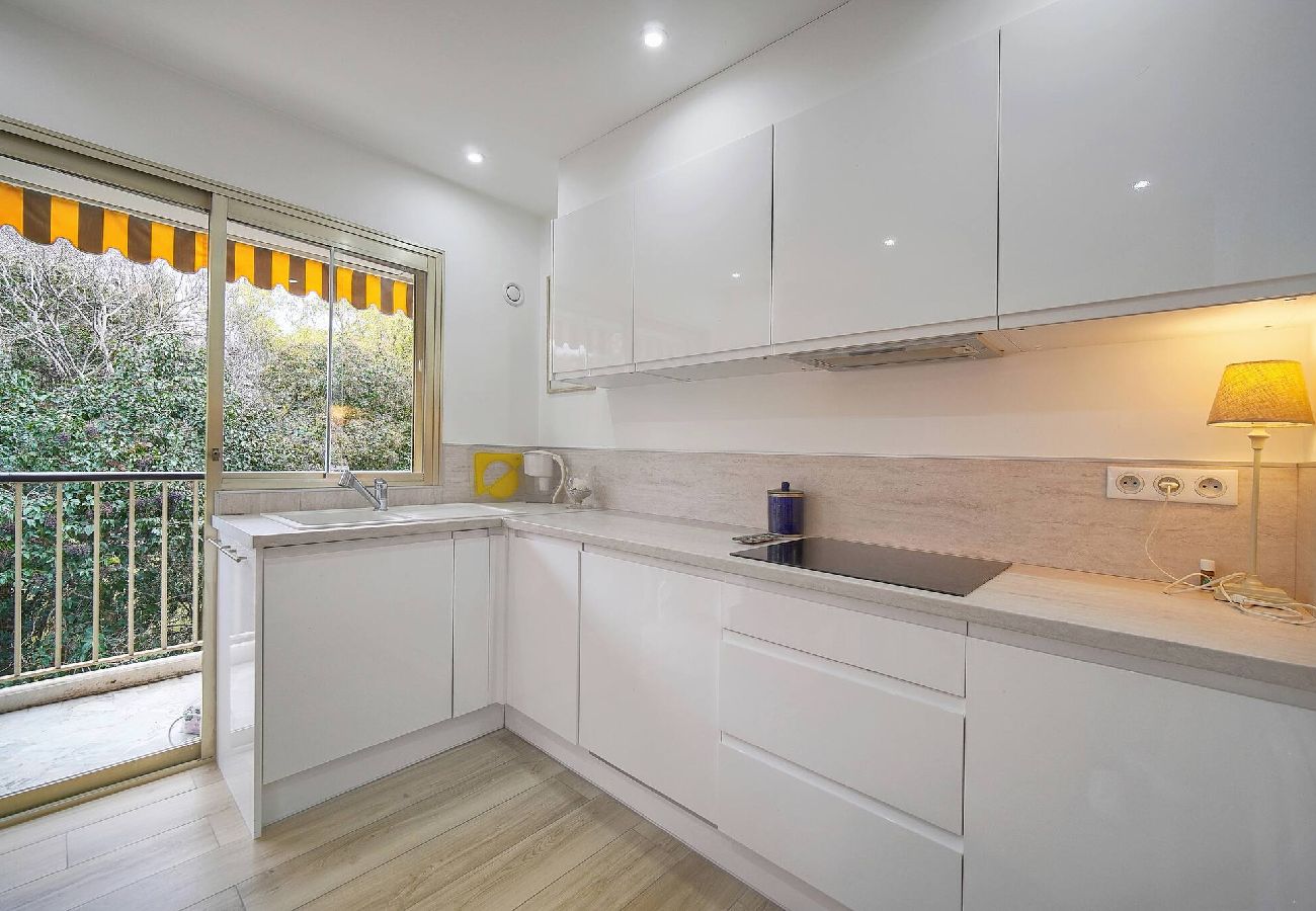 Appartement à Cannes - FRGK Prince de Galles terrasse sur jardin
