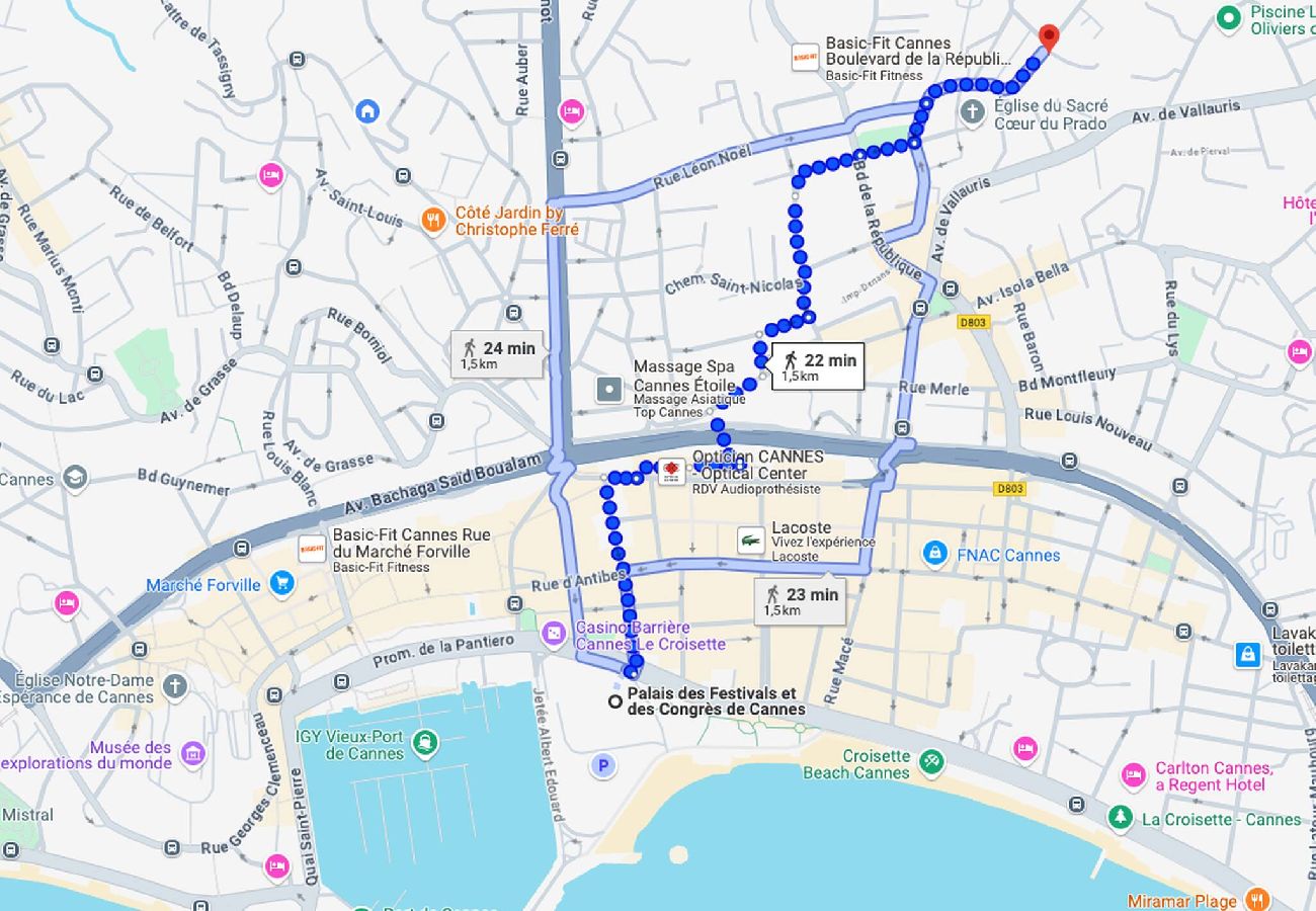 Appartement à Cannes - FRGK Prince de Galles terrasse sur jardin