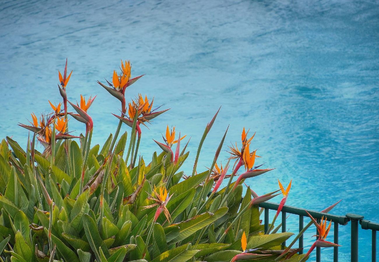 Appartement à Cannes - FRGK - Les Horizons Vue Mer Splendide