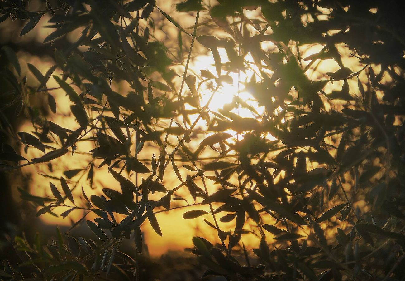 Villa à Le Cannet - FRGK Villa Contemporaine StudioIndépendant Piscine