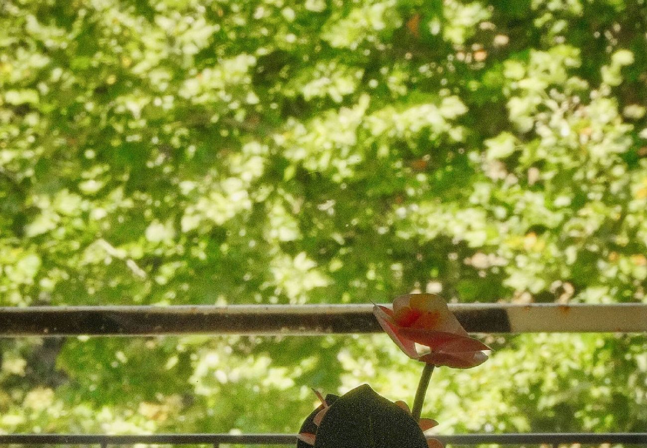 Appartement à Cannes - FRGK Stanislas Apartment Terrace, Central Cannes A