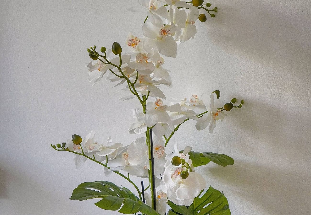 Appartement à Cannes - FRGK Stanislas Apartment Terrace, Central Cannes A