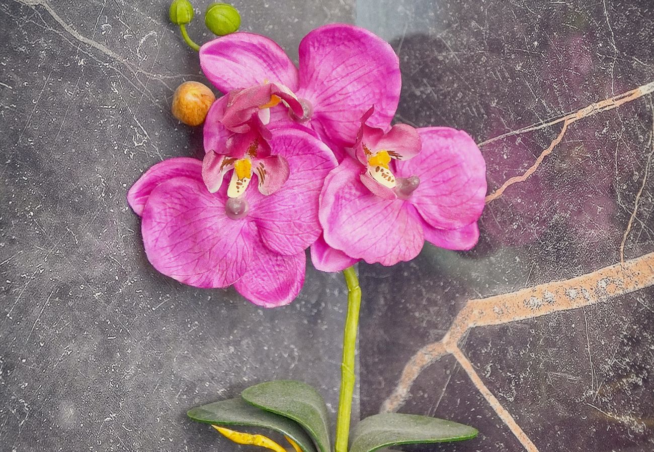 Studio à Nice - FRGK Massenet Blue Riviera