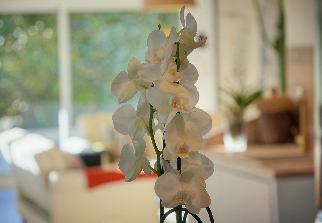 Villa à Cannes - FRGK Luxury Private Villa for CONGRES 5 Bedrooms P