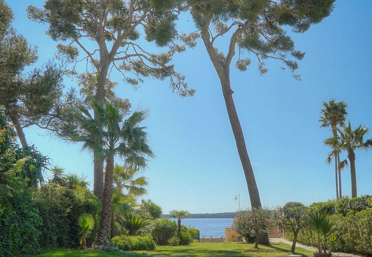 Villa à Cannes - FRGK Villa Mare Palm Beach