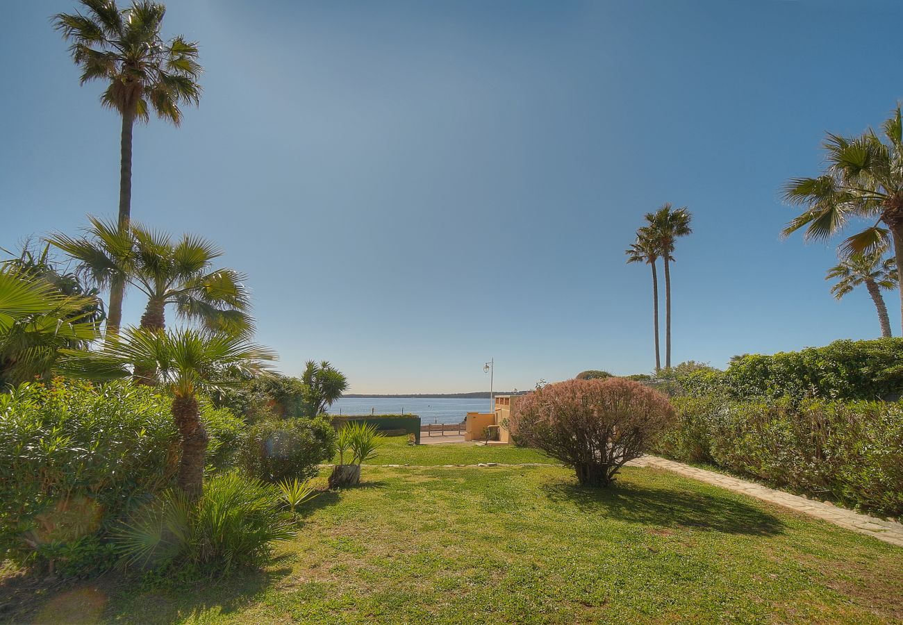 Villa à Cannes - FRGK Villa Mare Palm Beach
